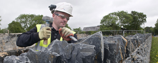 Lizard-friendly stone walls built along bypass route