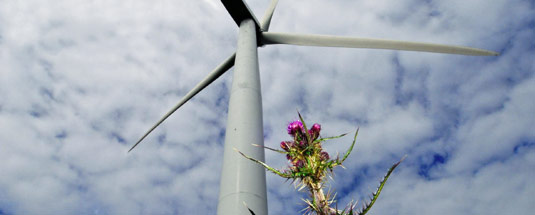 Jones Bros wins trio of wind farm contracts