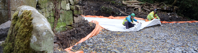 Jones Bros praised for scheme to make contaminated gardens safe